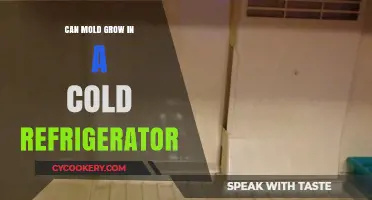 Can Mold Thrive in Cold Refrigerators? Surprising Facts Revealed