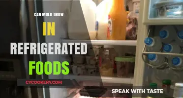 Can Mold Grow in Refrigerated Foods? Surprising Facts Revealed