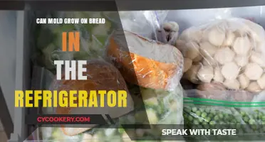 Can Mold Grow on Bread in the Fridge? Facts Revealed