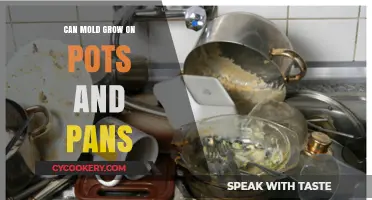 How to Prevent Mold Growth on Pots and Pans