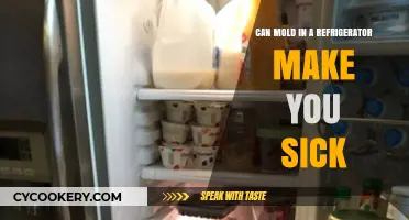 Mold in Your Fridge: Hidden Health Risks and How to Avoid Them