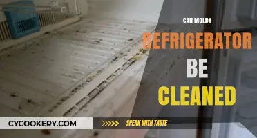 Cleaning a Moldy Fridge: Effective Methods to Restore and Sanitize