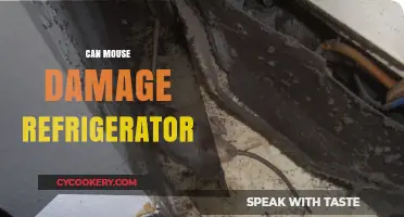 Can Mice Cause Harm to Your Refrigerator? Find Out Here