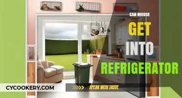 Can Mice Invade Your Fridge? Prevention Tips and Facts