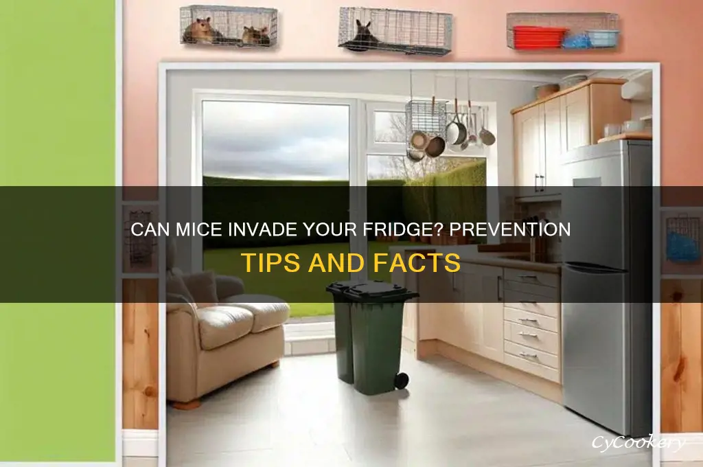 can mouse get into refrigerator