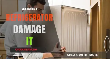 Moving Your Fridge: Avoiding Damage During Relocation Tips