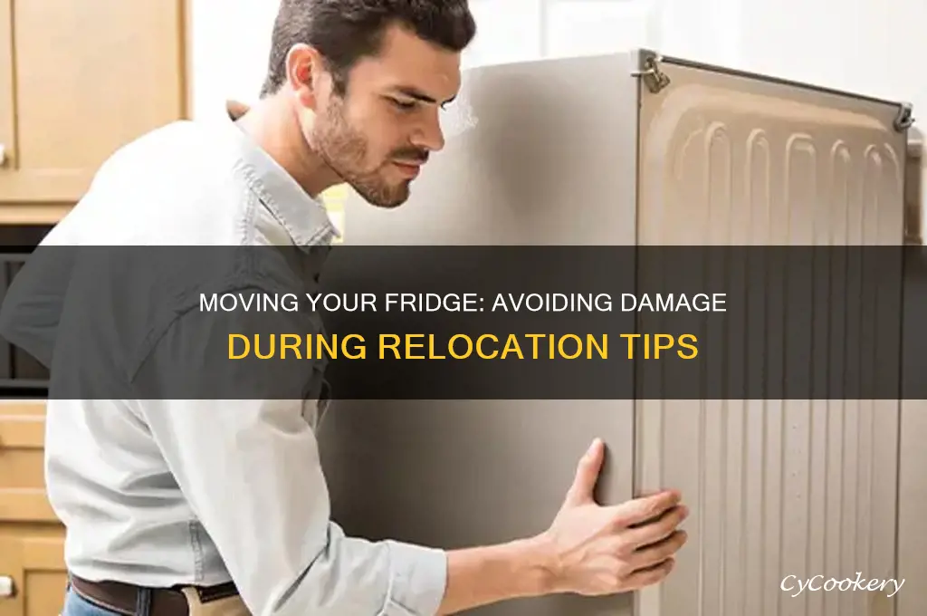 can moving a refrigerator damage it