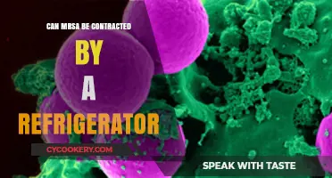 Can MRSA Spread Through Your Refrigerator? Uncovering the Truth