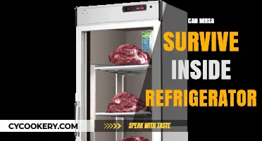 Can MRSA Survive in Your Fridge? The Chilling Truth Revealed