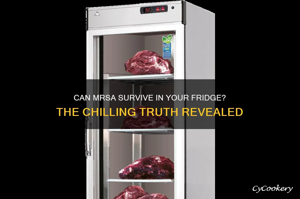 can mrsa survive inside refrigerator