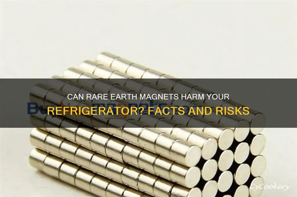 can multiple rare earth magnets damage refrigerate