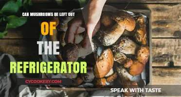 Should You Refrigerate Mushrooms? Storage Tips for Freshness and Safety