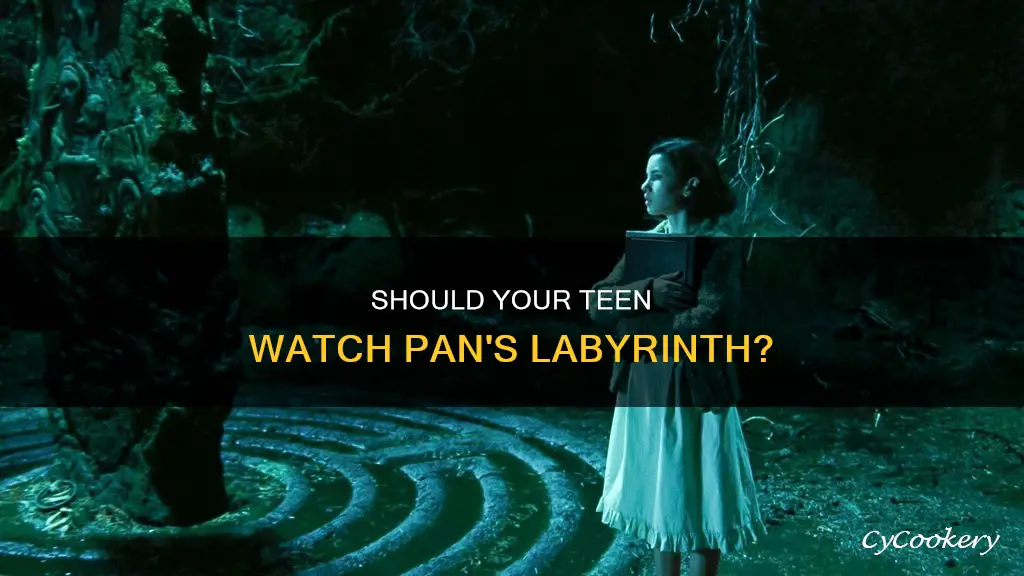 can my 13 see pan