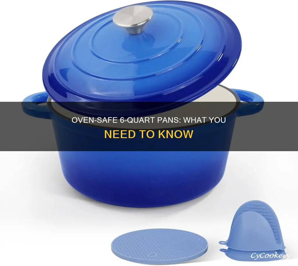 can my 6 quart pan go in the oven