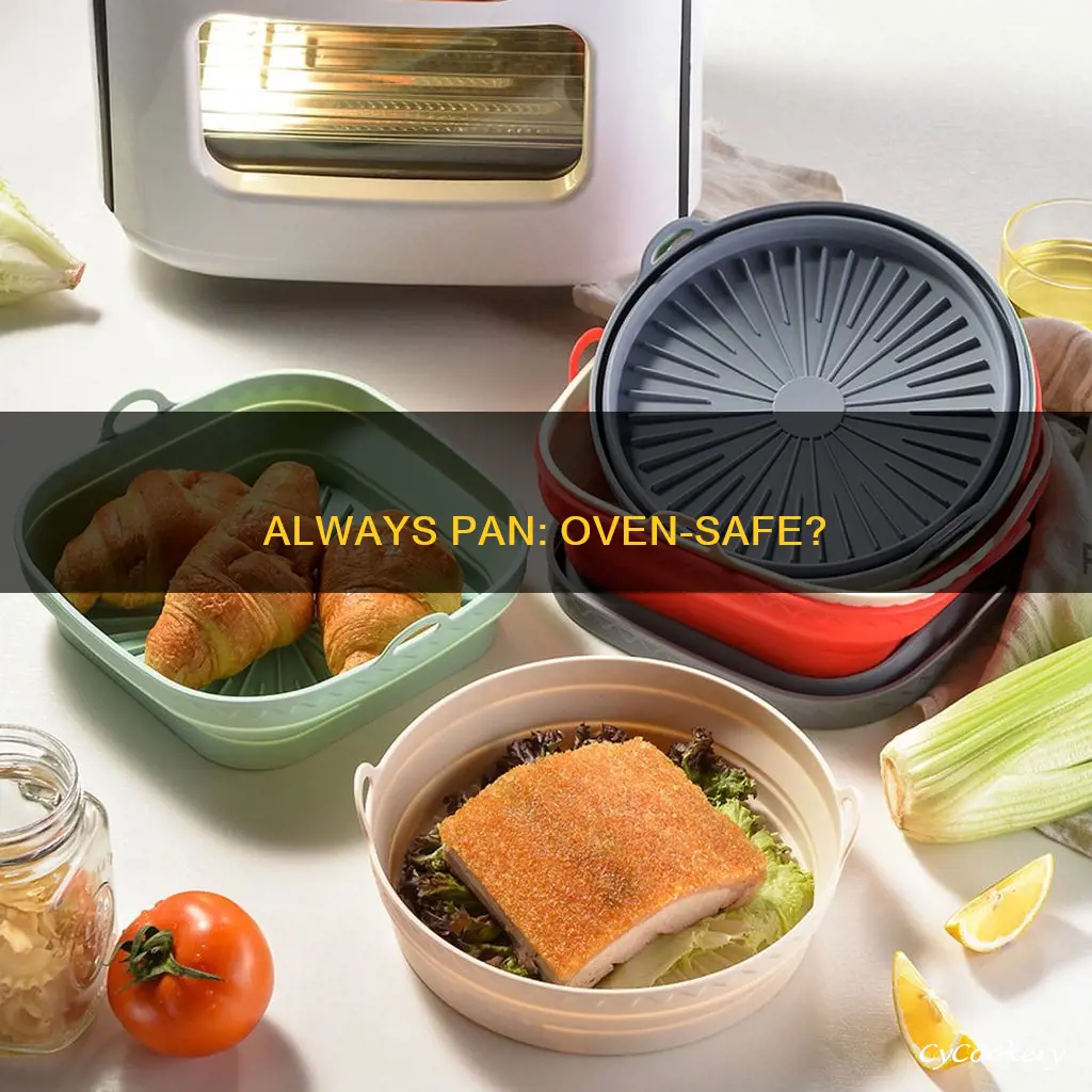 can my always pan go in the oven