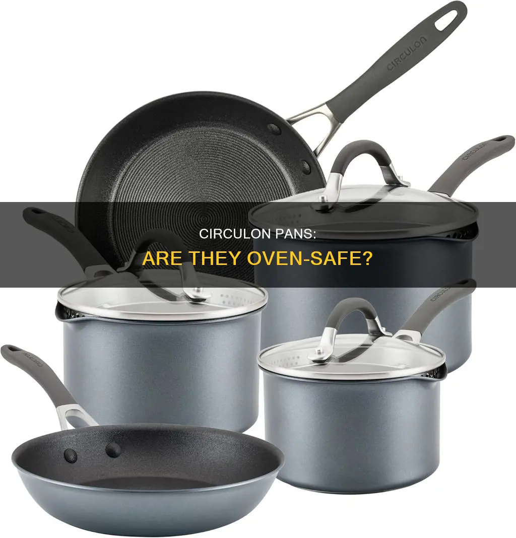 can my circulon pan go in the oven