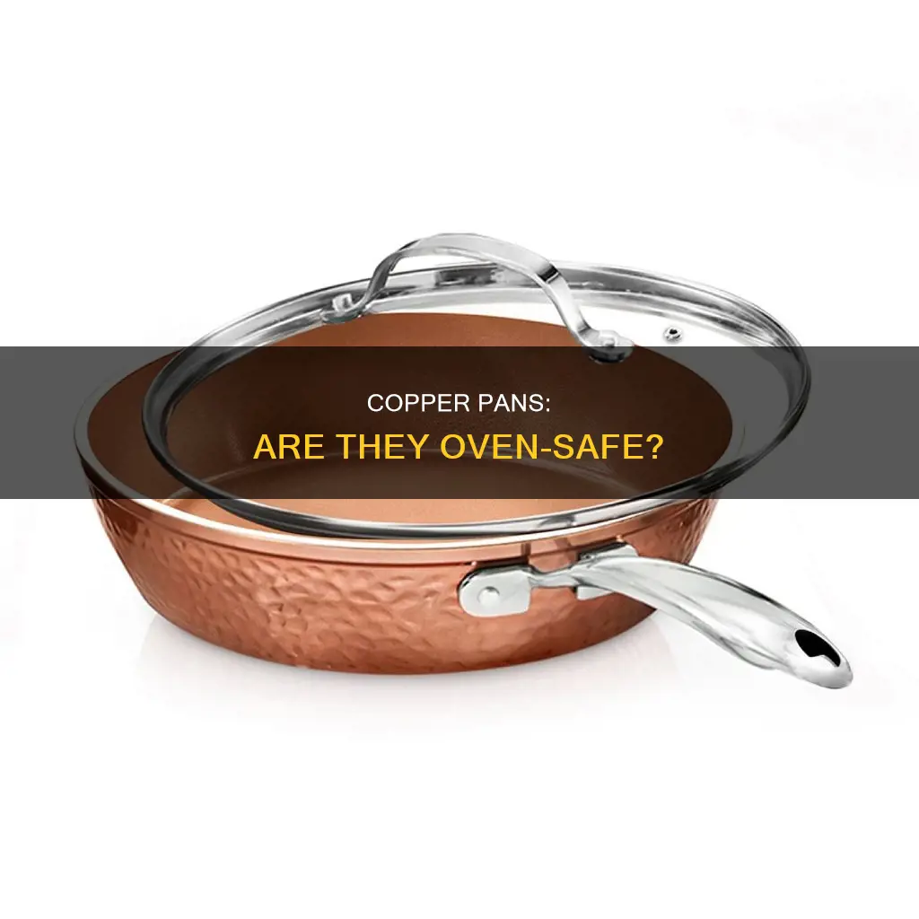 can my copper pan go in the oven