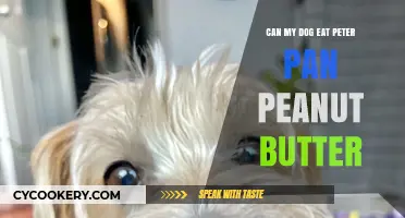 Is Peter Pan Peanut Butter Safe for Dogs?