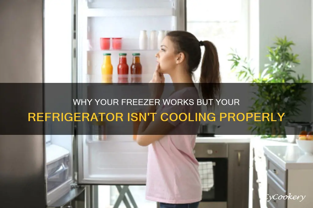can my freezer work and not the refrigerator