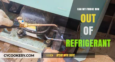 Can Your Fridge Run Out of Refrigerant? Understanding Cooling Issues