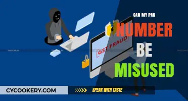 Protect Your PAN: Prevent Misuse and Fraud