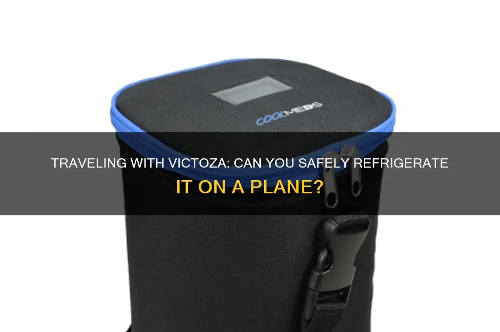 can my refrigerated victoza on a plane