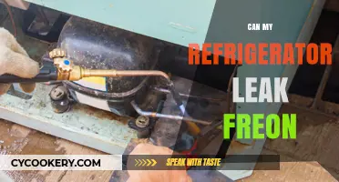 Can Your Refrigerator Leak Freon? Signs, Risks, and Solutions