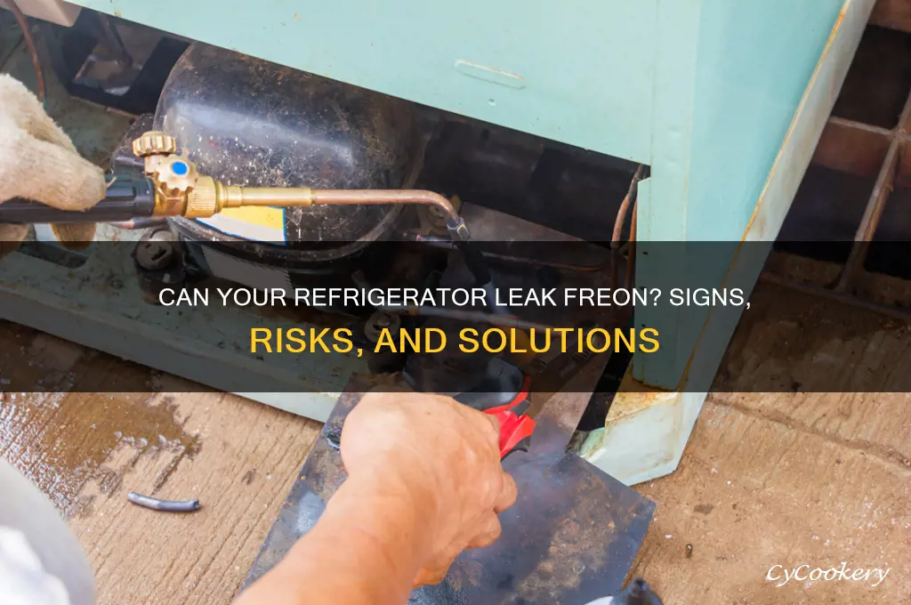 can my refrigerator leak freon