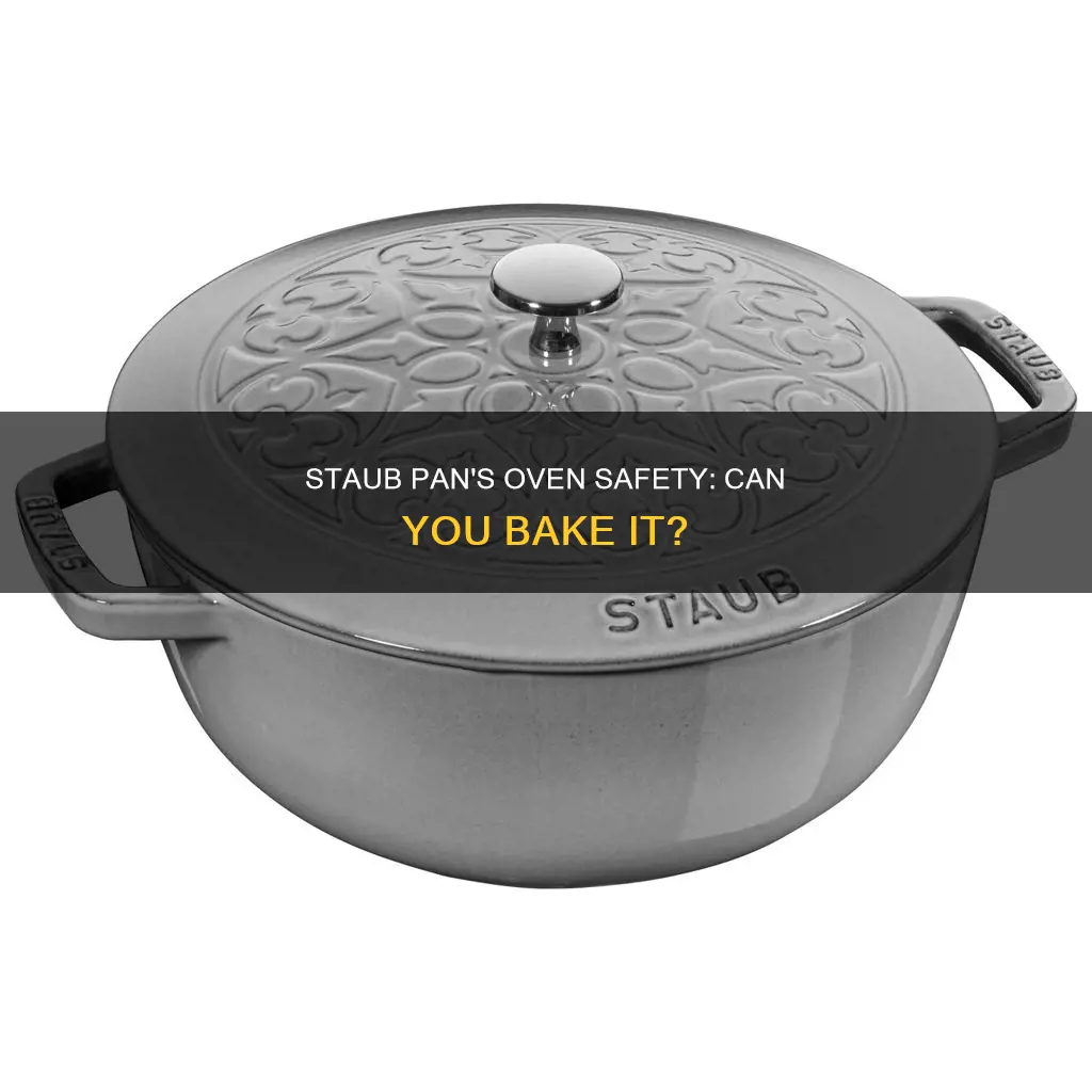 can my staub pan go in the oven