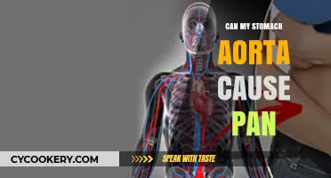 Stomach Aorta and Chronic Pain: What's the Link?
