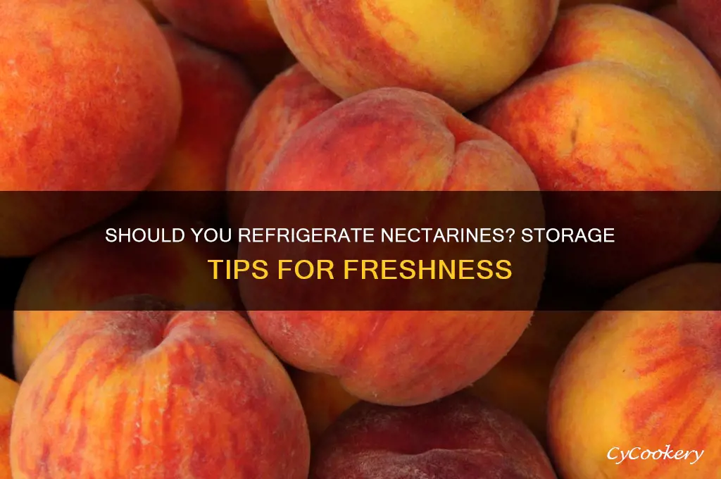 can nectarines be refrigerated