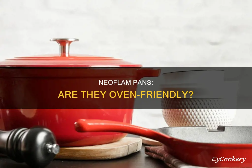 can neoflam pans go in the oven