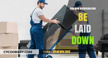 Can New Refrigerators Be Laid Down? Essential Tips and Precautions