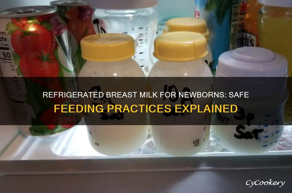 can newborns drink refrigerated breast milk