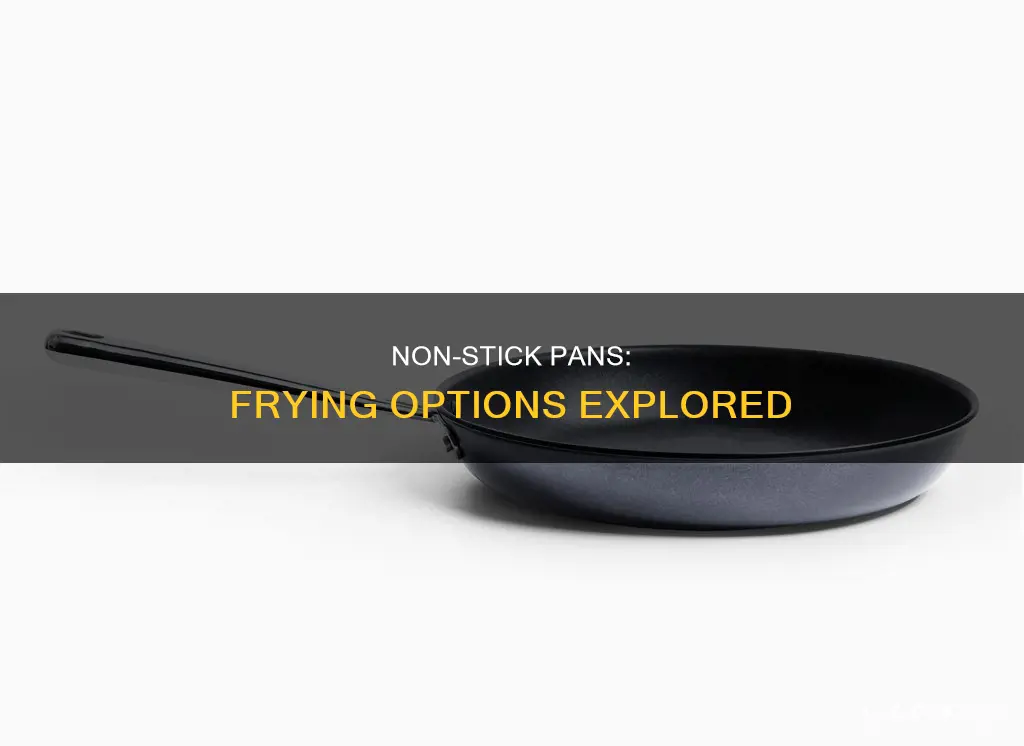 can non stick pan fry