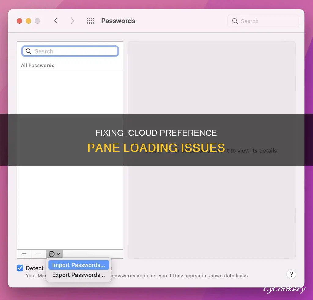 can not load icloud preference pane