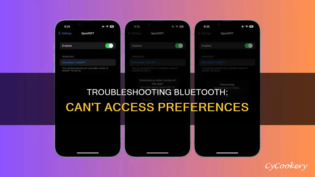 can not open bluetooth preference pane