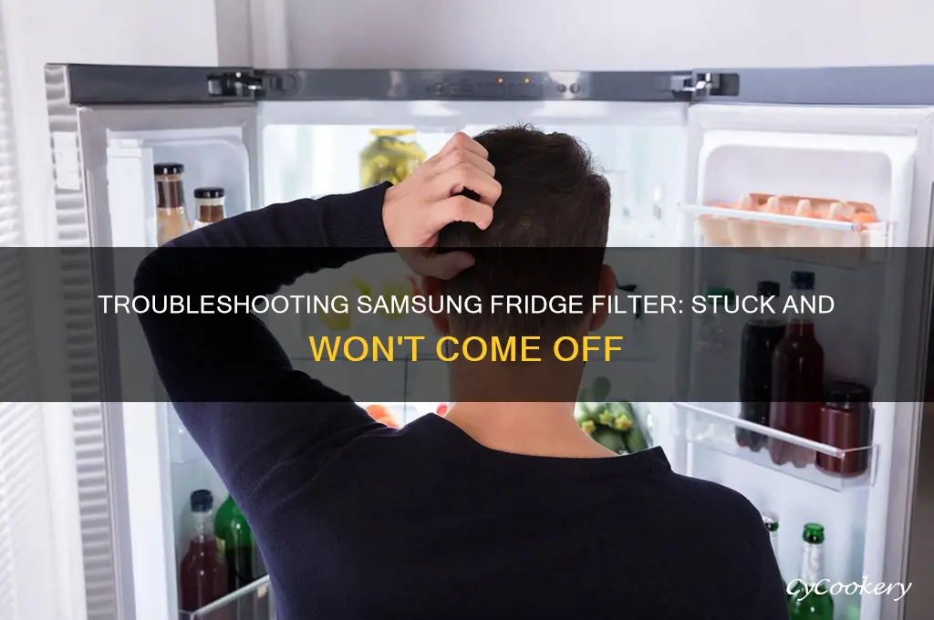 can not remove filter on samsung refrigerator