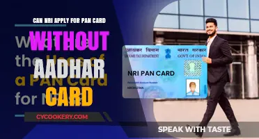 NRIs: Applying for PAN Without an Aadhaar Card