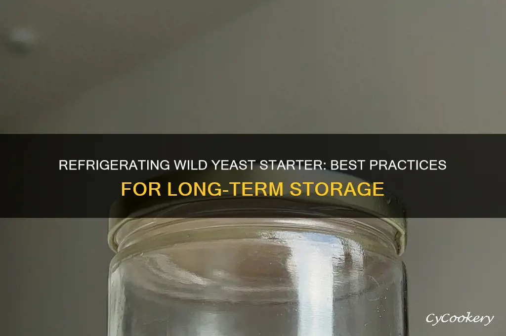 can o refrigerate wild yeast starter