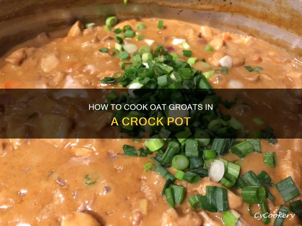 can oat grouts be cooked in a crock pot