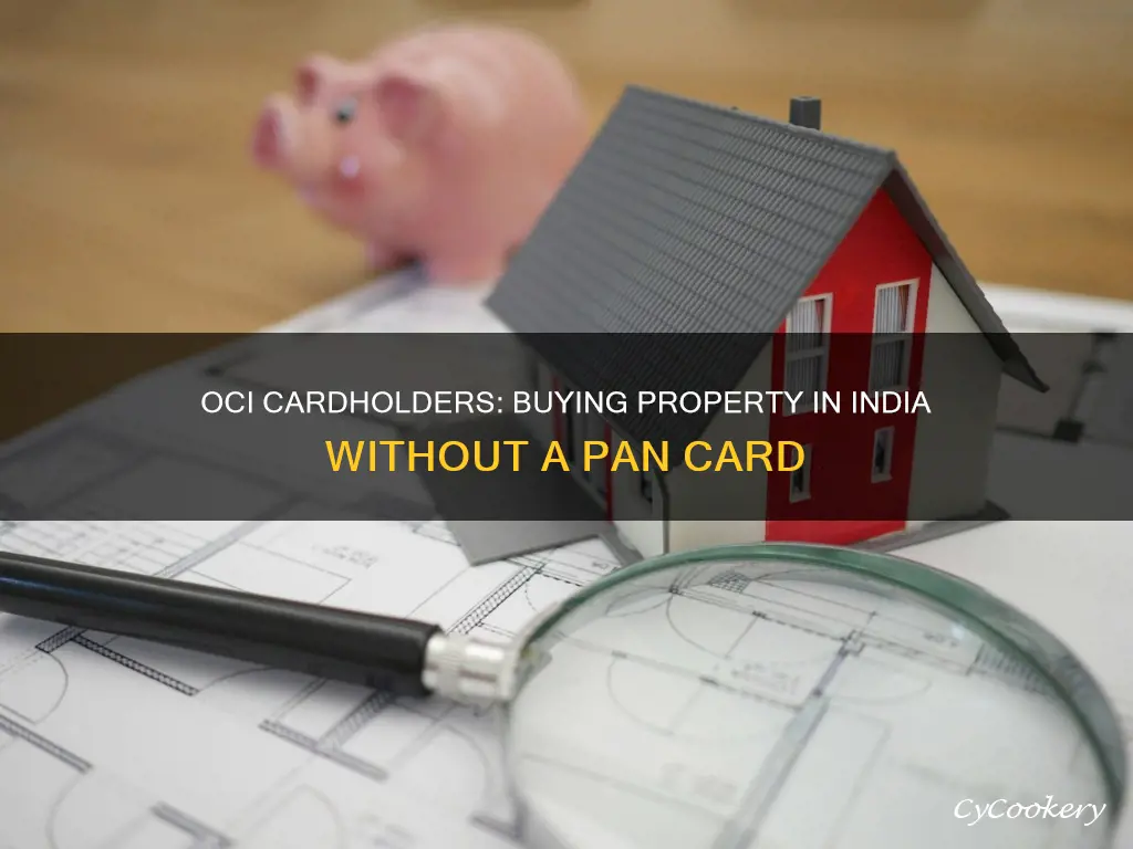 can oci buy property in india without pan card