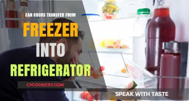 Can Freezer Odors Contaminate Your Fridge? Exploring the Smelly Truth