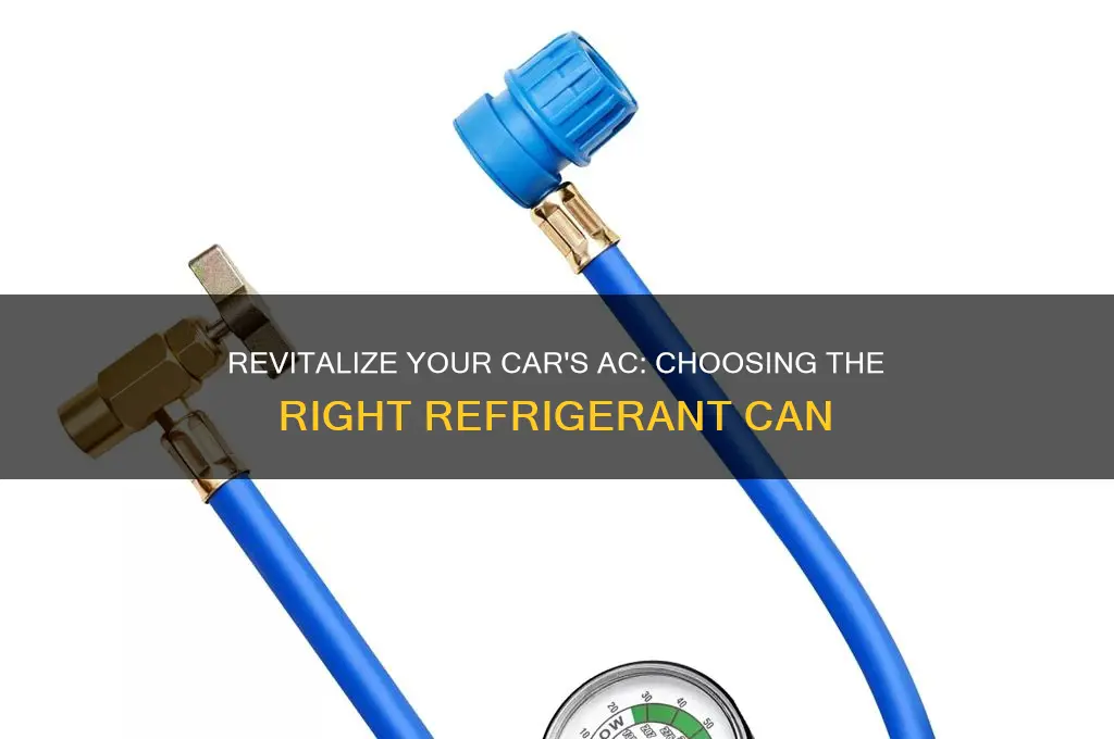 can of refrigerant for car