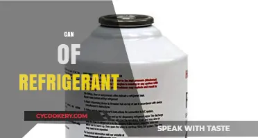 Understanding the Uses and Safety of a Can of Refrigerant