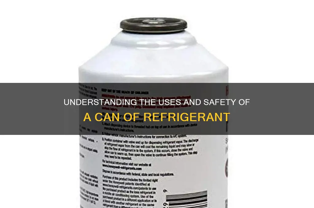 can of refrigerant