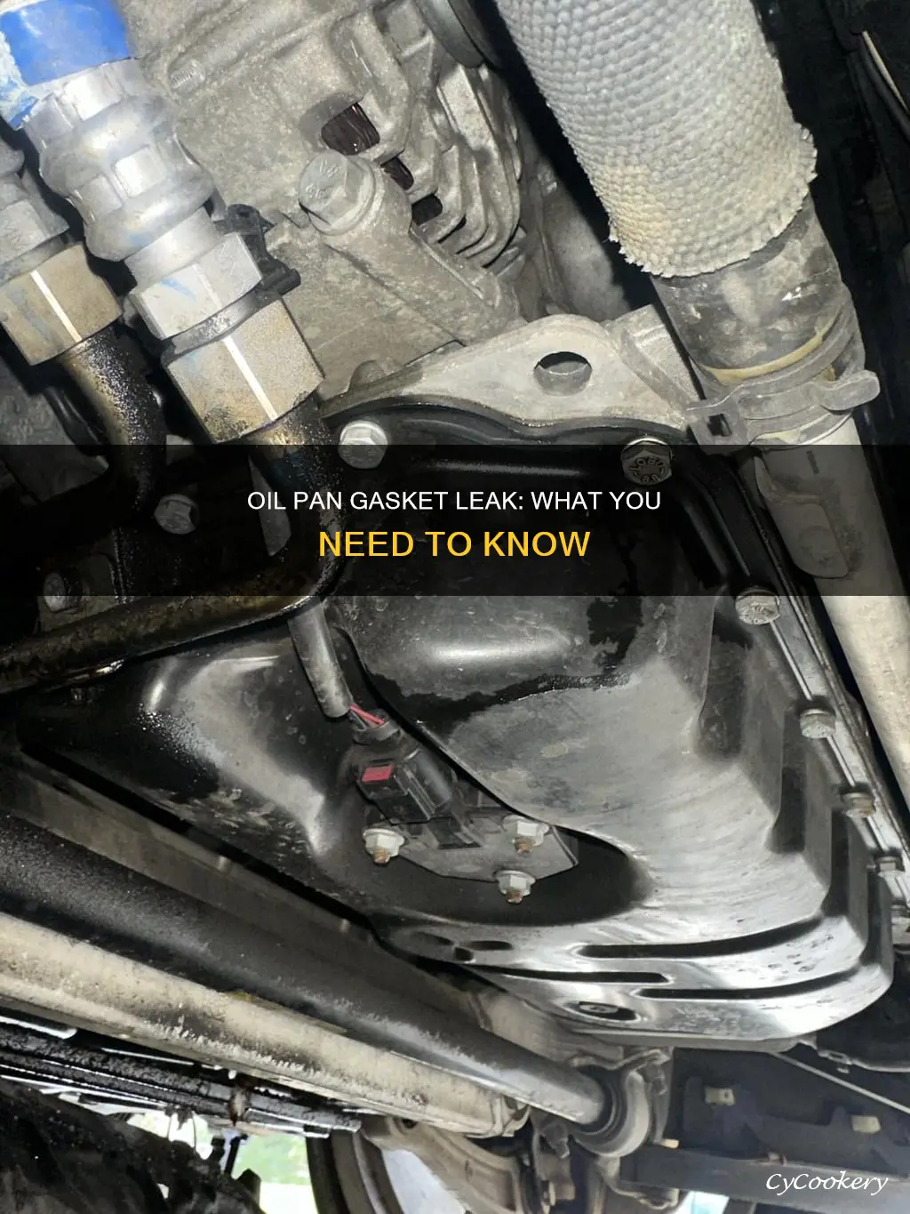 can oil come out of oil pan gasket