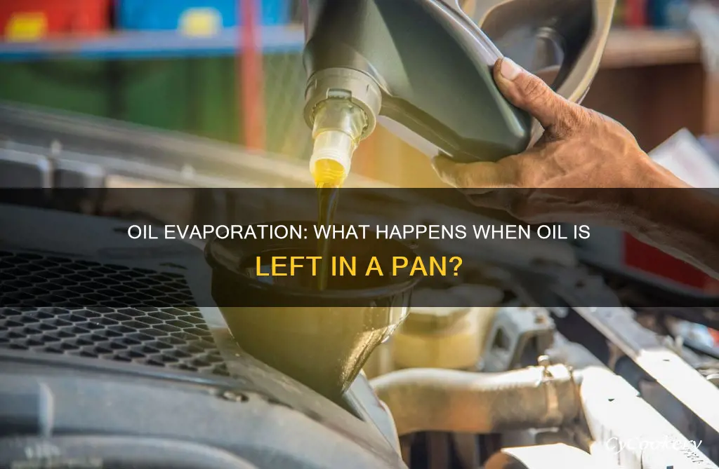 can oil evaporate in a pan