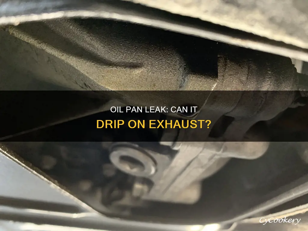can oil pan leak on exhaust