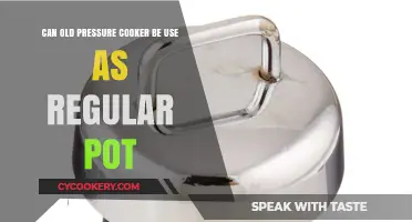 Old Pressure Cookers: Safe for Regular Cooking?